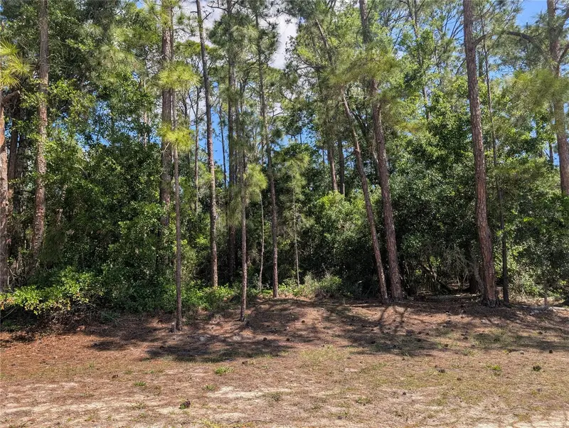 1114 Plumosa Dr, FL