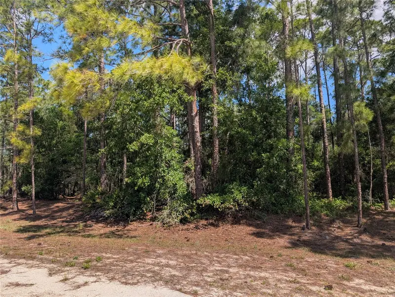 1114 Plumosa Dr, FL