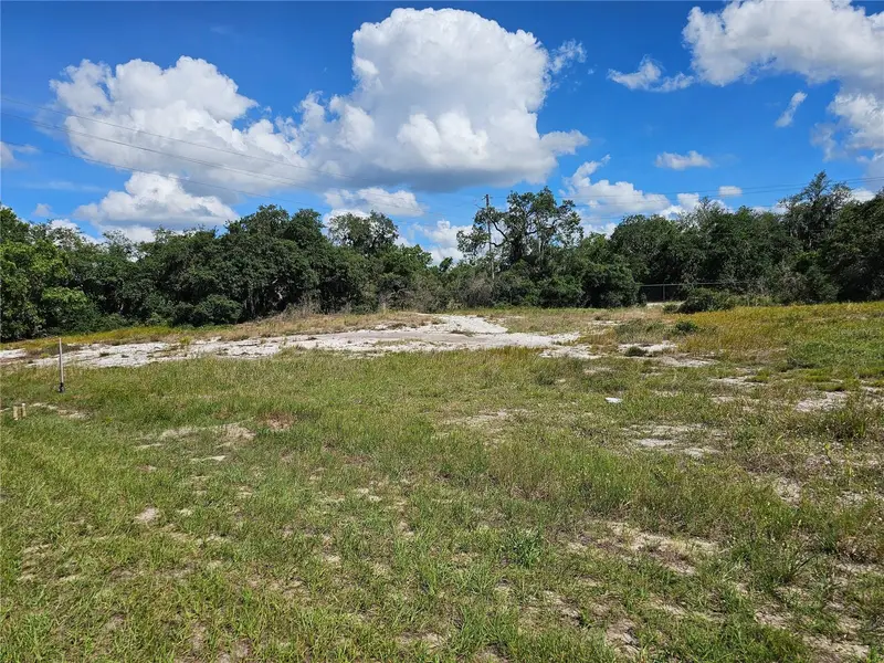 Cedarwood Dr, FL