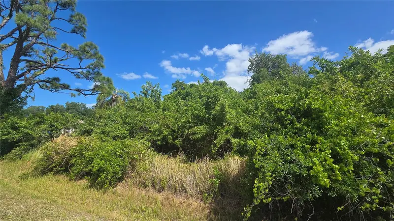 Gale St, FL