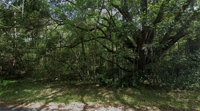 3958 E Ryan St, FL