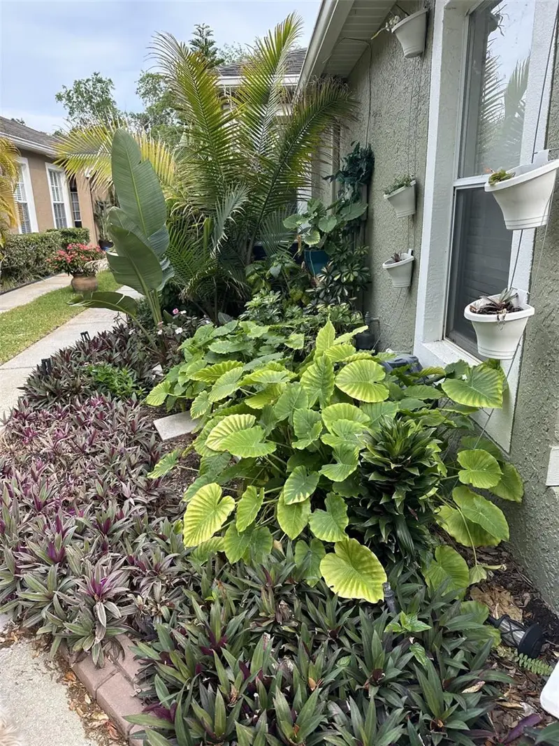19113 Doves Landing Dr, FL