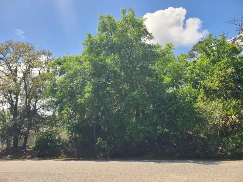 17 Farver Ln, FL