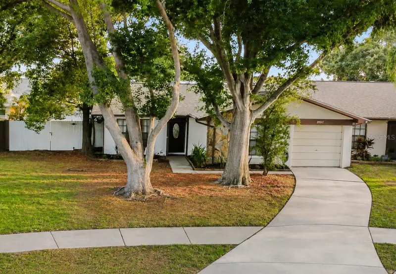 2031 Dover Ct, FL