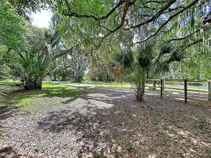 11008 Browning Rd, FL