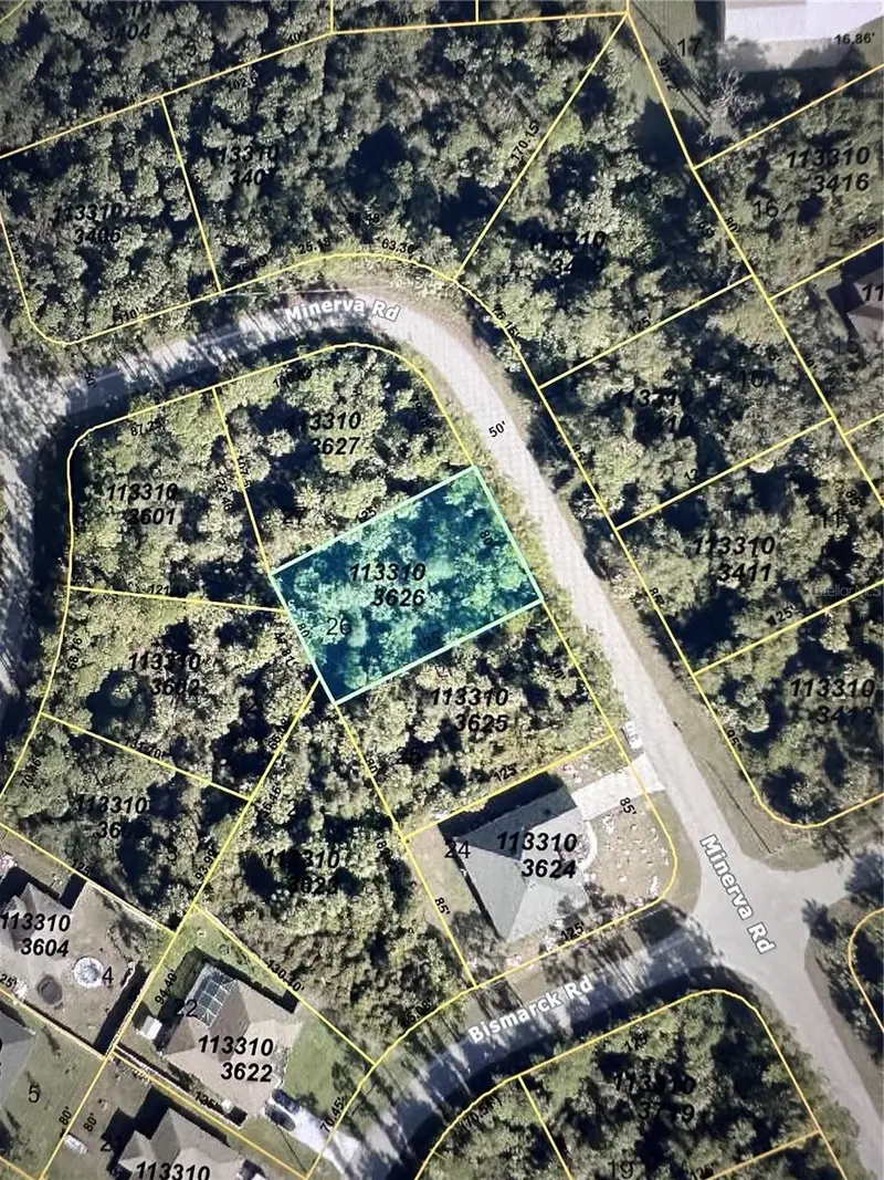 Minerva Rd, FL