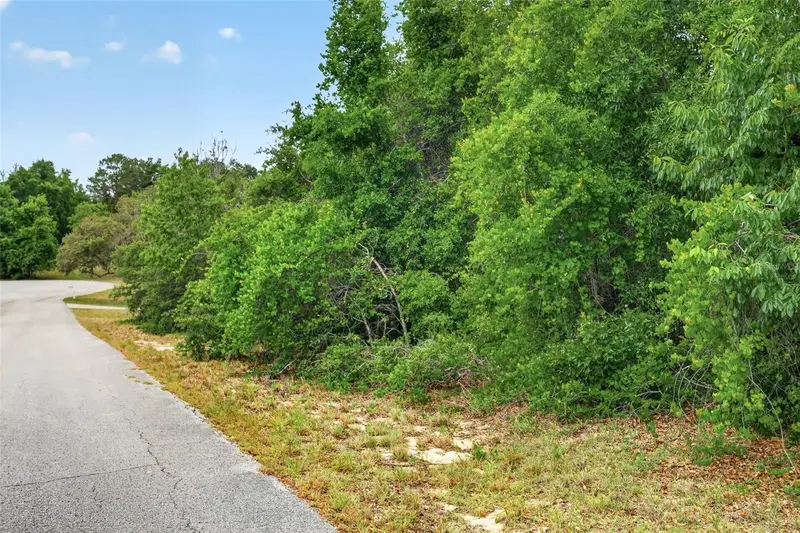 1642 S Valerie Pt, FL
