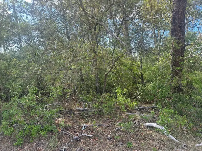 Lot 6 170th Place, FL