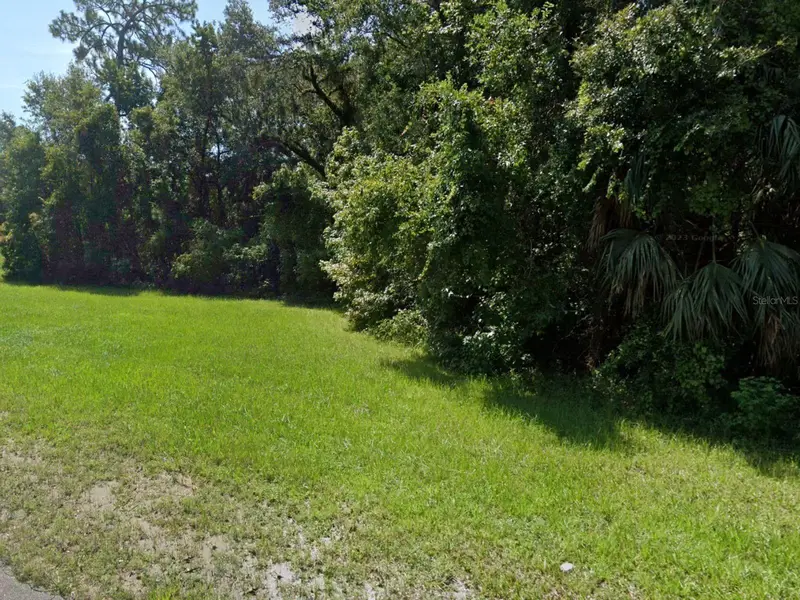 44 W Sr 44 New York Ave, FL