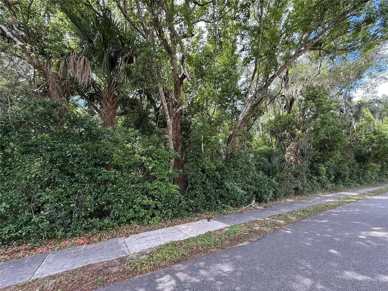 Tbd King Ave, FL