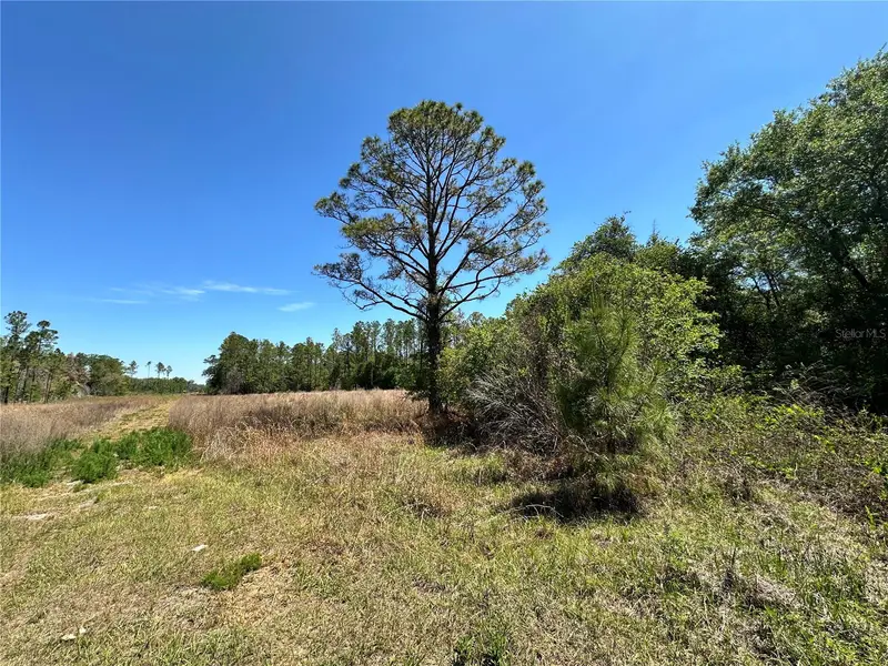 Tbd Ne 128th Ln, FL