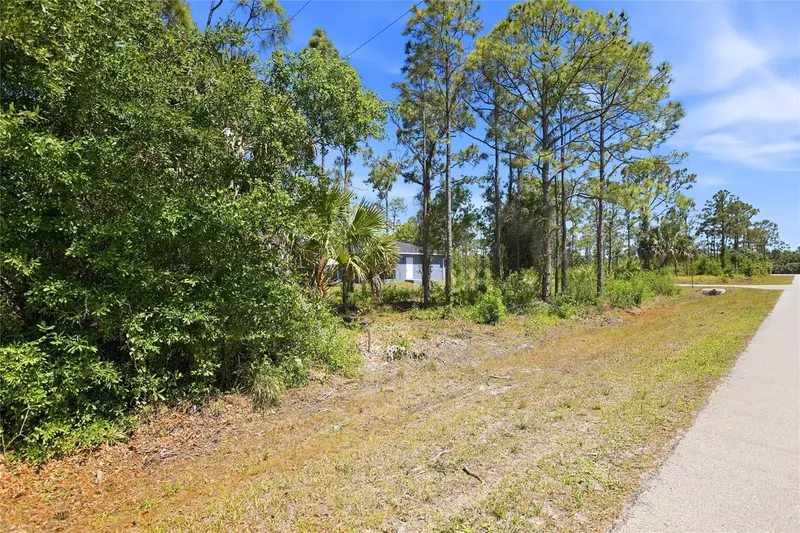 27396 Corinthian, Dr, FL