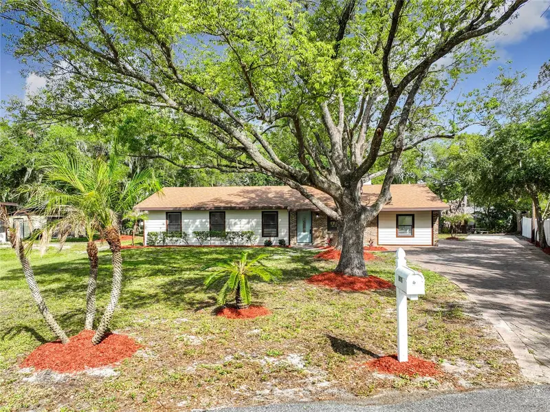 5975 Sheryl Anita St, FL
