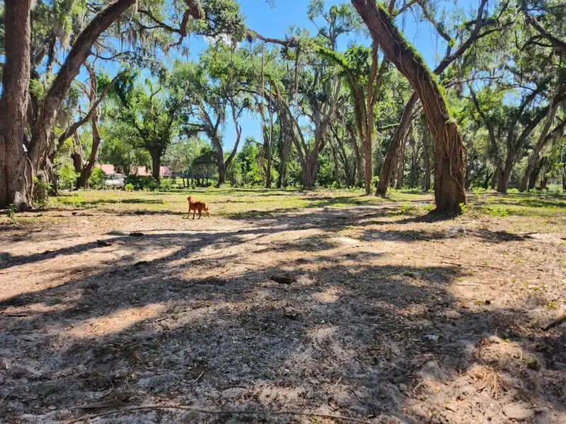 Muck Pond Rd, FL