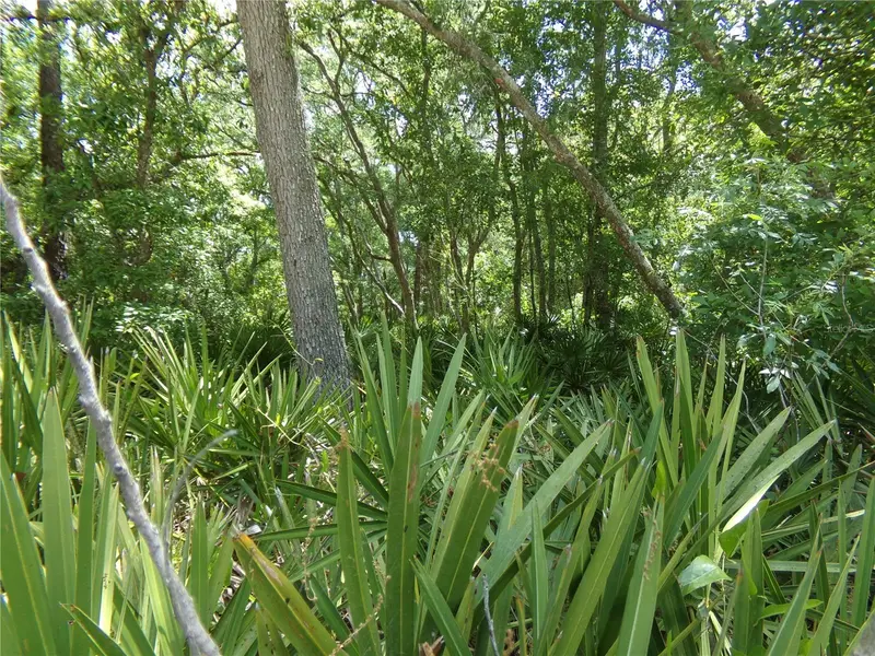 00 Cashew Dr, FL