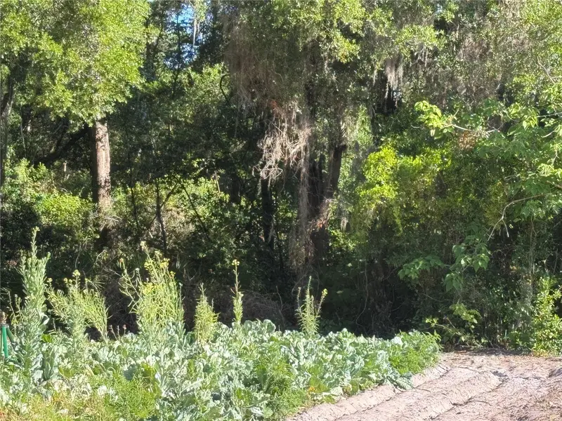 00 County Road 213, FL