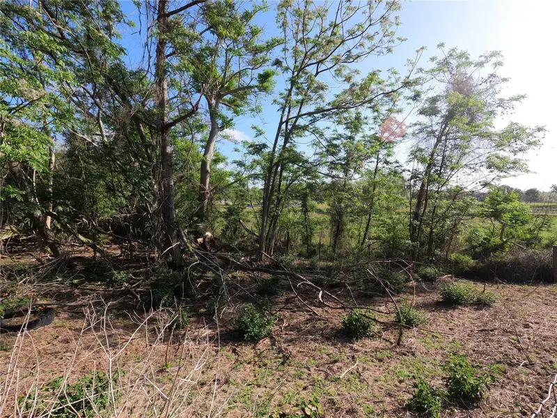 0 Earth Star Ln, FL