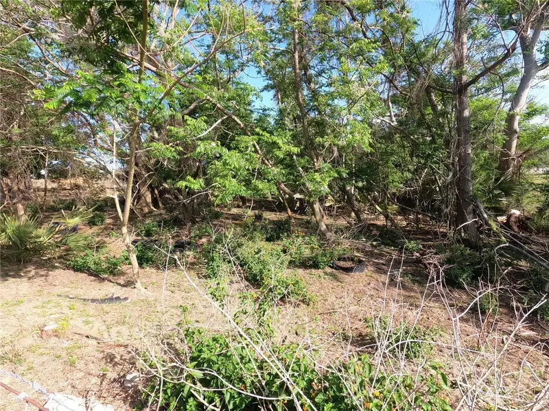 0 Earth Star Ln, FL
