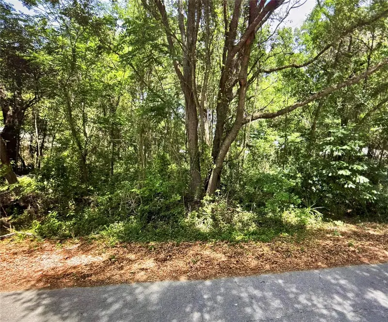 41 Pine Trace Crse, FL