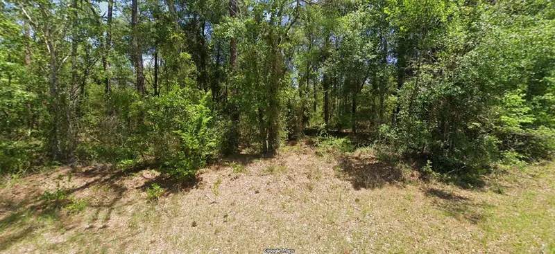 Nw Buena Vista Rd, FL