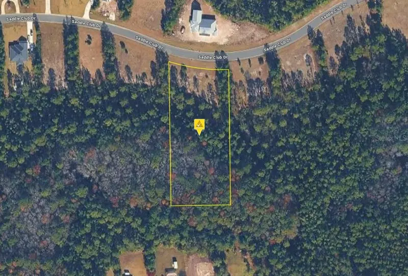 11325 Saddle Club Dr, FL