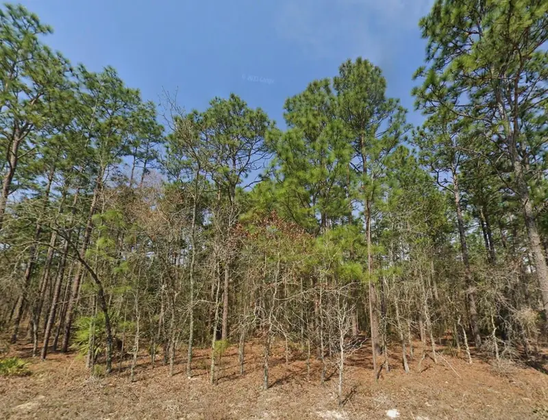 Tbd (Lot 12) Sw 128th Terrace Rd, FL