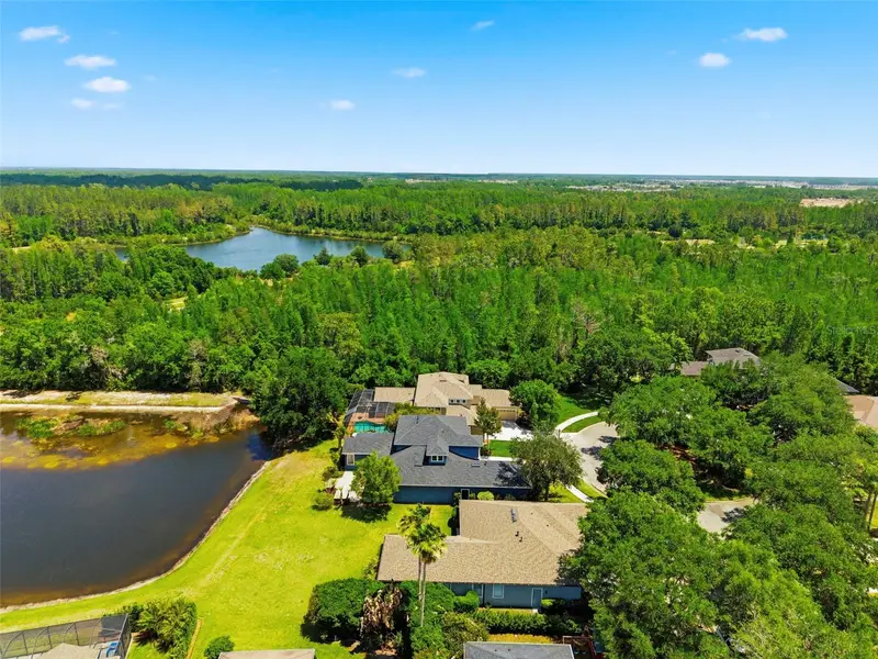 20629 Wild Plum Ct, FL