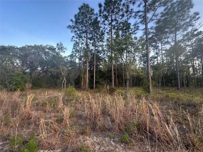 Lot 3 Nw Amberjack Ave., FL