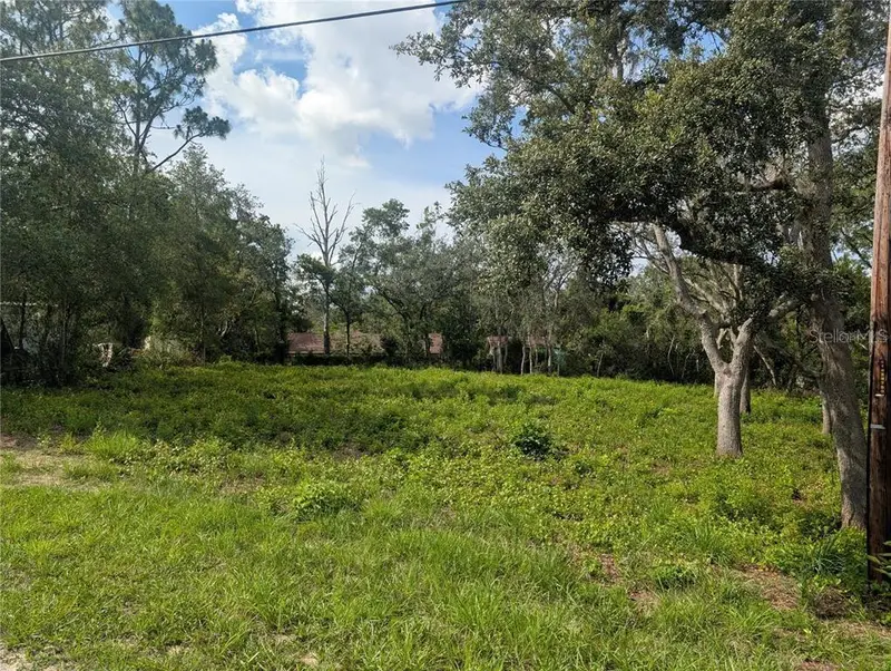 0 Merlin Cir, FL