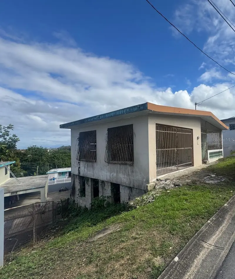 487 Ext. Villa Del Rio, PR