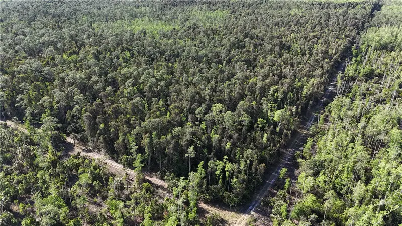 0, FL