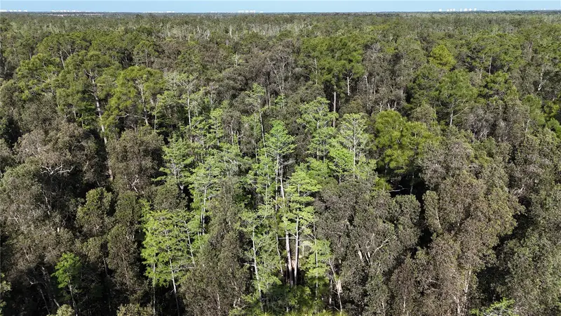 0, FL