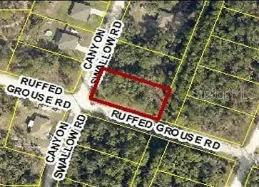 0 Canyon Swallow Rd (Parcel Key 00784734), FL