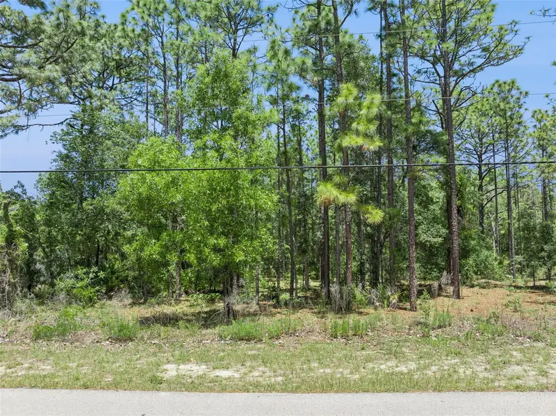 1797 W Union St, FL