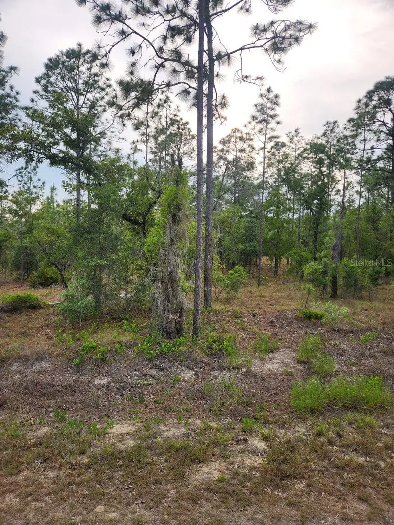00 Se 130th Ct, FL