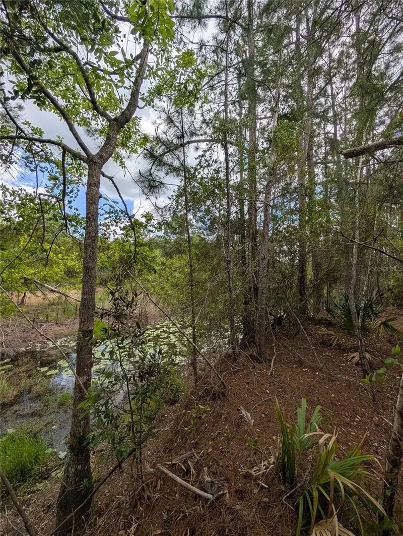 38521 Ilex Trl, FL