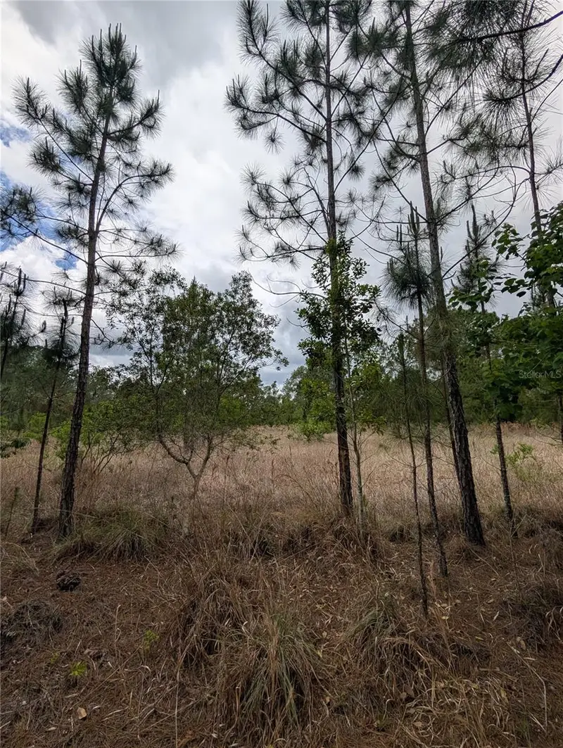 38521 Ilex Trl, FL
