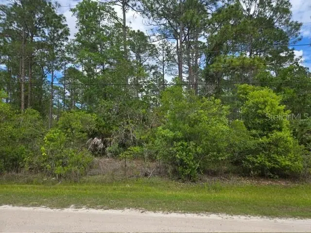 1747 Candleberry St, FL