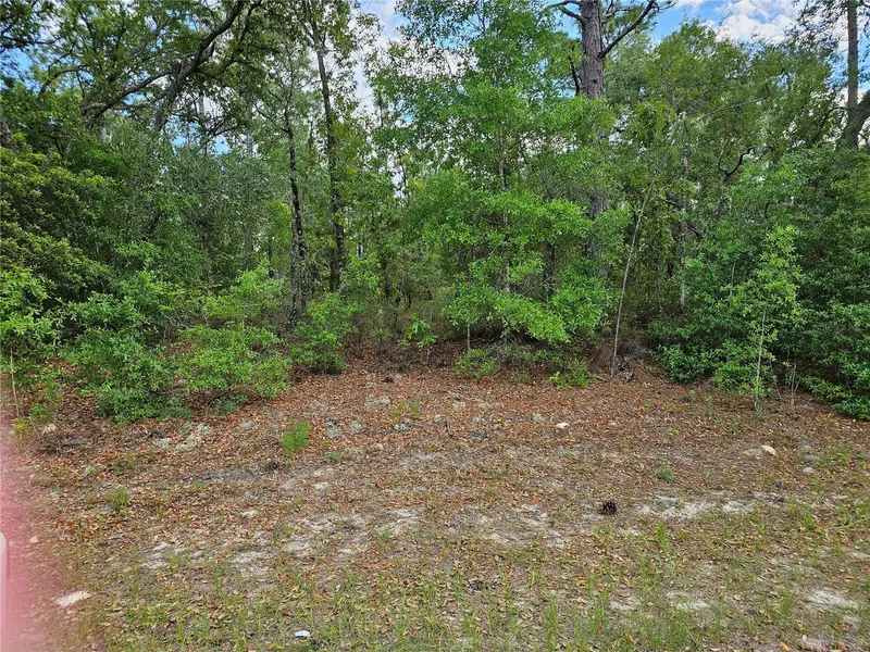 1681 W Skyline Dr, FL