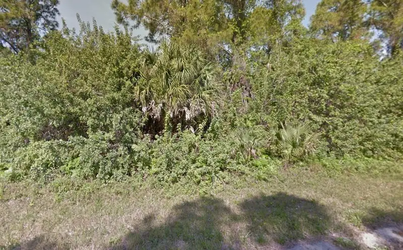 Havemeyer St, FL