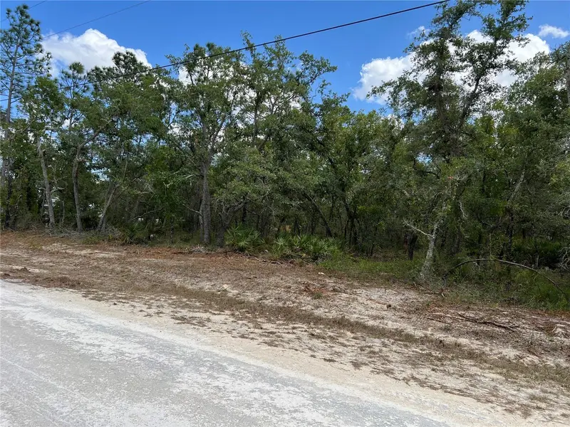 Sage Thrasher Ave, FL