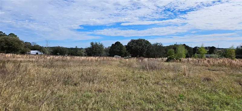 24207 Turkey Lake Rd, FL