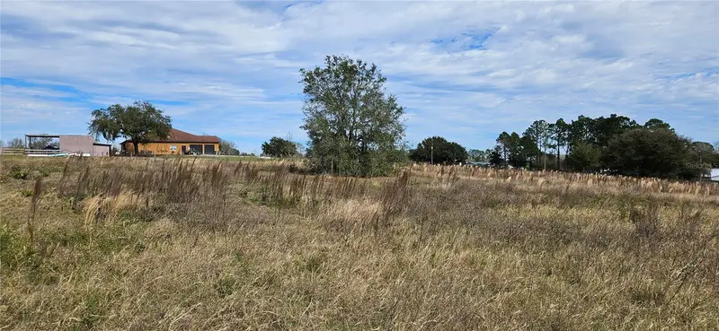 24207 Turkey Lake Rd, FL