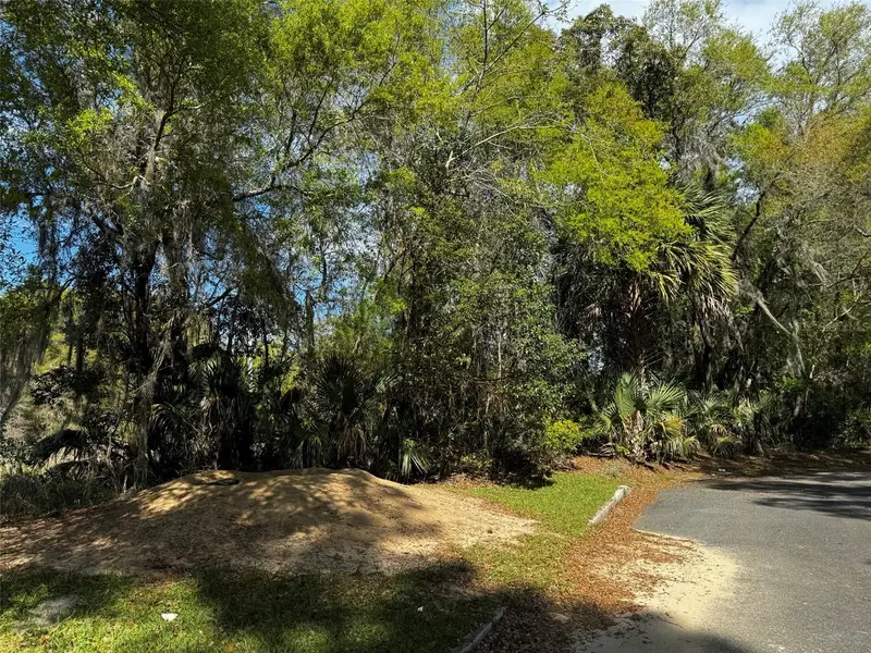 Ne 4th Ct, FL