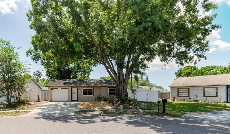 2009 Peppertree Ct, FL