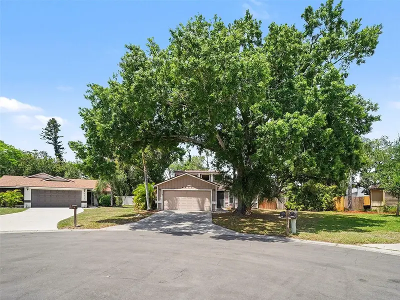 8211 Country Oaks Ct, FL