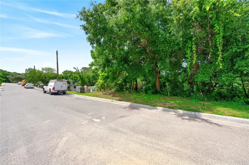 E Minneola Ave, FL