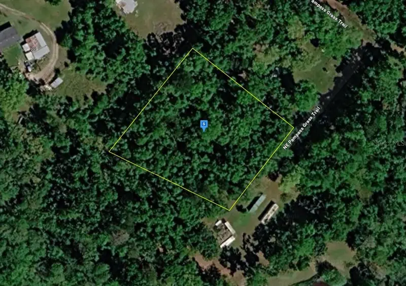 220 Ne Pampass Grass Trl, FL
