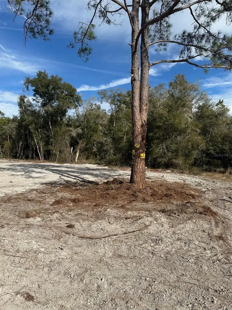Berryhill Dr, FL