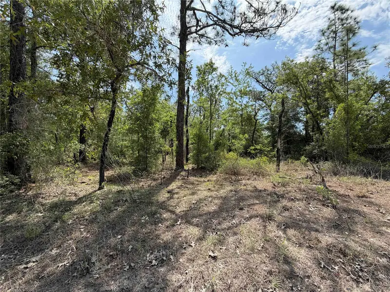 Tbd Ne 110 Ave, FL